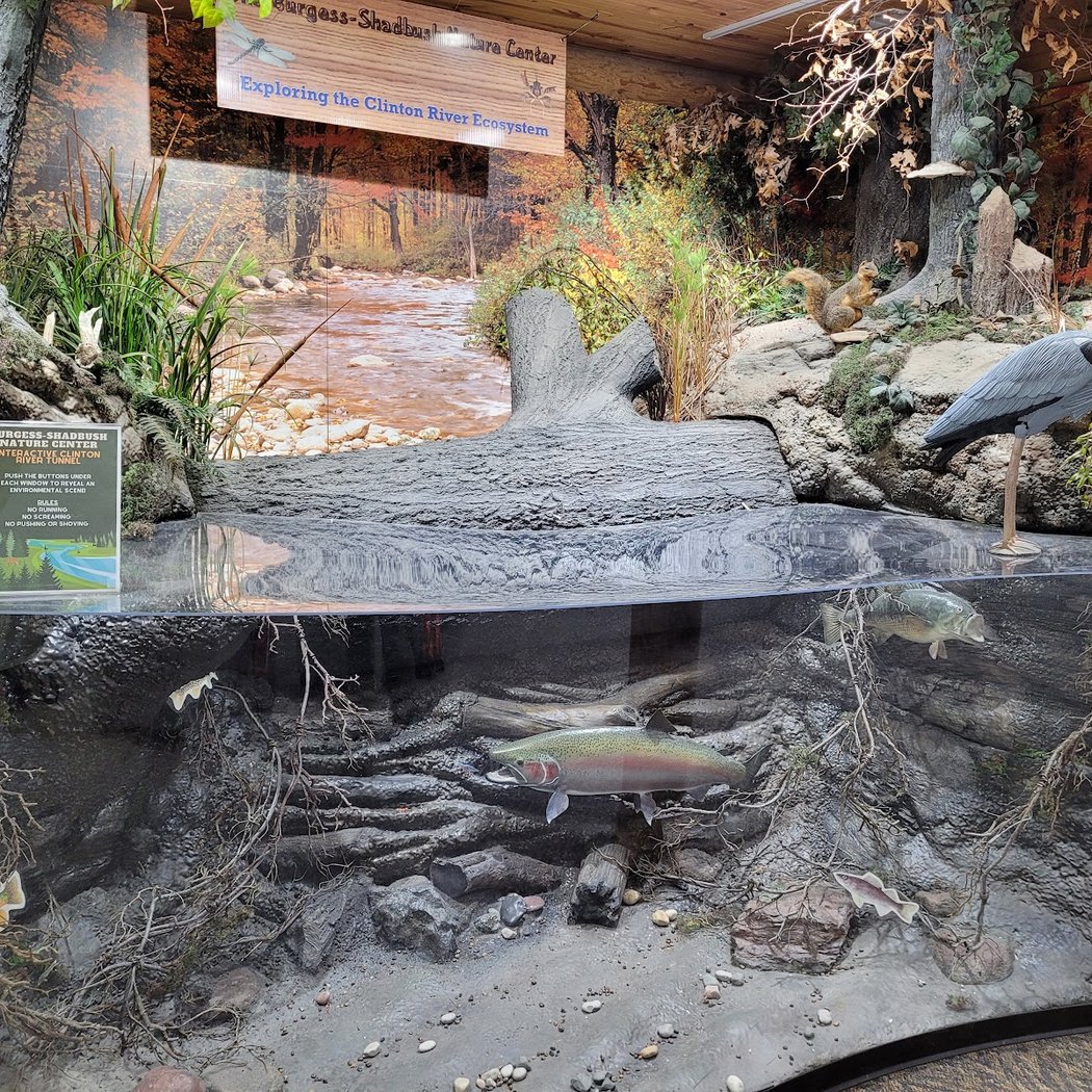 Burgess-Shadbush Nature Center 4